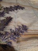 Bieżnik duży jesienny nadruk 