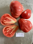 Pomidor Pink Fig kolekcjonerskie nasiona