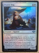 Prairie Dog  FOIL- Outlaws of Thunder Junction