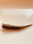 Gryzak dla psa 19 cm