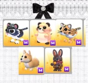 M / Mega Pack Roblox Adopt me