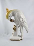 Striegau Stanowice Strzegom papuga kakadu