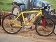 American Eagle Okazja