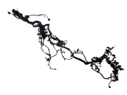 Wiązka instalacja silnika Audi S6 C7 4G 4.0 TFSI  4G1971713G