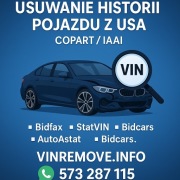 Usuwanie historii pojazdu USA / Bidfax, statvin, bidcars, PLC