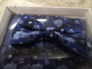 Muszka z poszetką (MAGF1)