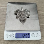 Piękny srebrny liść