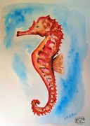 Konik morski akwarela A4 prezent