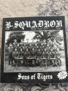 B-Squadron – Sons of Tigers | Oi! / Street Punk | LP