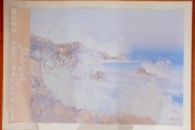 Plakat Donn Art Galleries J.Rovevier Sitodruk