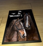 Plakat Koń Taloubet
