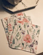 Komplet myjek wielorazowych 