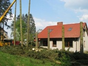 Gursped - Wycinka Drzew Stargard i Okolice - Solidnie i od Ręki