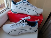 Puma Future Cat MAMGP AMG Petronas r.42 Motorsport