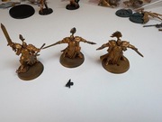 Evocators Age of Sigmar Soul Wars