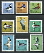 Fauna ptaki 1342 - 50 ** 