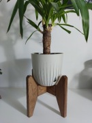 Kwietnik stojący drewniany stojak na kwiatki - dąb..