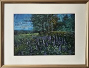 Łubiny, z cyklu "Jurajskie impresje"