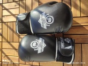 Rękawice bokserskie - sparingowe 12oz DBX Bushido 