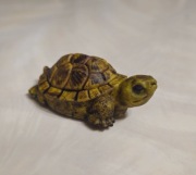 Żółw z masy cukrowej na tort realistyczny