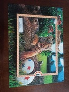 Puzzle 500 szt Educa tygrys