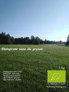 Ekologiczne siano dla gryzoni