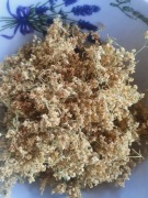 Czarny bez, kwiat 50 g