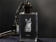 Chausie brelok sześcienny Świecący