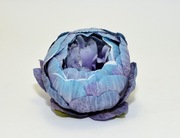 Ekskluzywna Główka Piwonii –Niebieski cieniowany– Premium DIY