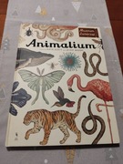 Animalium Katie Scott, Jenny Broom
