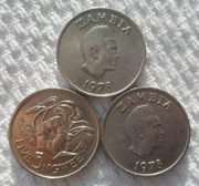 Zambia Republika 5 ngwee 1978 KM# 11 Kwiat Ipomoea corymbosa 1 szt.