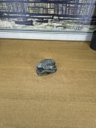 Kamienna pieczątka – skarabeusz w stylu egipskim