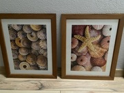 IKEA obraz obrazek w drewnianej ramie 47x56 cm