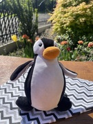 Pingwinek Bawełniany welur