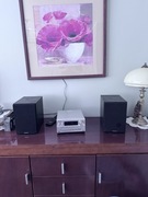 Mini wieża stereo Panasonic PMX802E