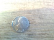 moneta destrukt  tazani