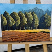 Pejzaż pole las. Olej na płótnie 30x40cm