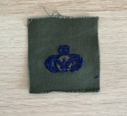 Naszywka - USAF - Master Security Police Badge (OD Subdued)