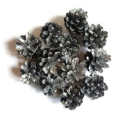 Polskie naturalne SZYSZKI SOSNOWE Florystyka Dekor Stroik srebrne 12 szt.