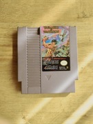 Wizards & Warriors NES Pal B