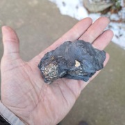 Piryt konkrecja pirytowa z Gór Kaczawskich