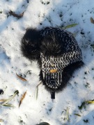 czapka zimowa marki starling - nowa