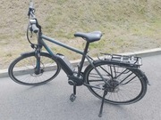 Triumph E-BIRD PLUS - Bosh Active Line PLus 400Wh