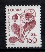 3087,Rośliny lecznicze,Stokrotka