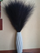 Czarna trawa pampasowa 20 szt 