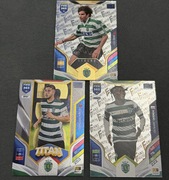 Karty kolekcjonerskie panini 