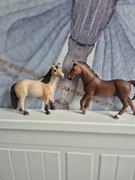 Zestaw koni  mustang i trakeński schleich