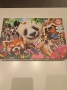 Puzzle 300el.  Educa puzzle