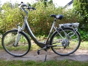 Rower elektryczny Sparta Ion L-series wspomaganie elektryczne