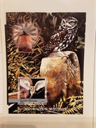 Gwinea Bissau 2004   Mi bl 462   ptak sowa  idealna  pozycja